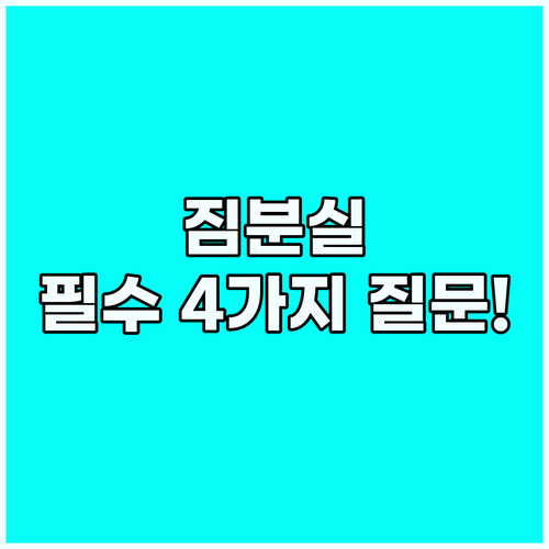 공항 짐 분실 당일 해결! 필수 준비..