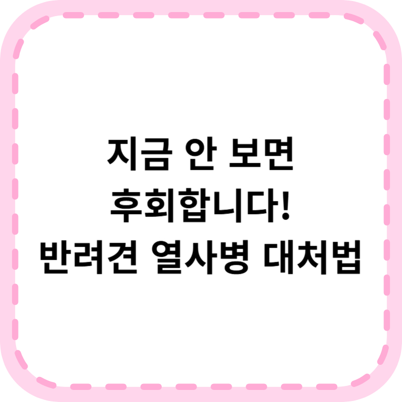 반려견 열사병 예방 가이드(+증상, 응급처치 총정리)