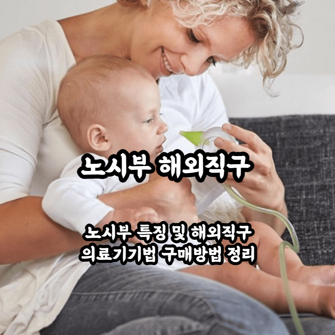 노시부 해외직구 블로그글 썸네일