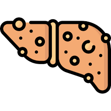 지방간 없애는 방법