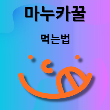 마누카꿀 먹는법
