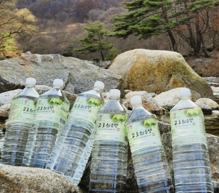 고로쇠물 효능 먹는 방법 보관 방법 총정리!