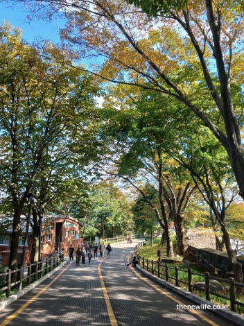 서울 단풍명소 남산 단풍길 산책로