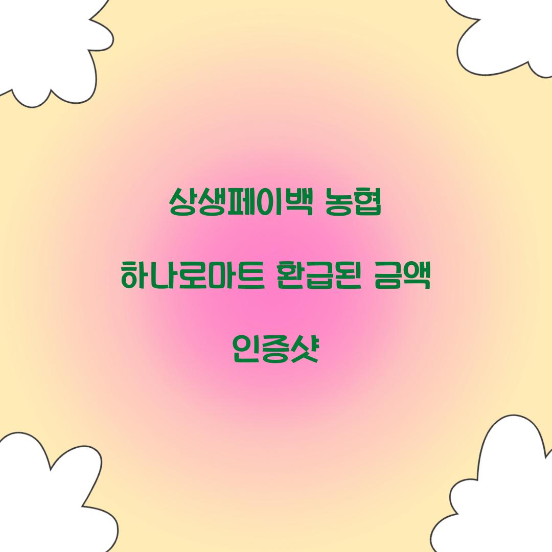 상생페이백 농협 하나로마트 환급된 금액 인증샷