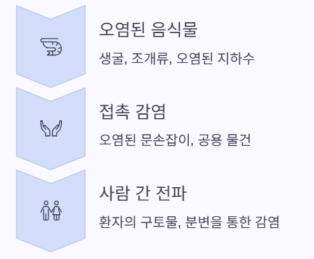 전파
