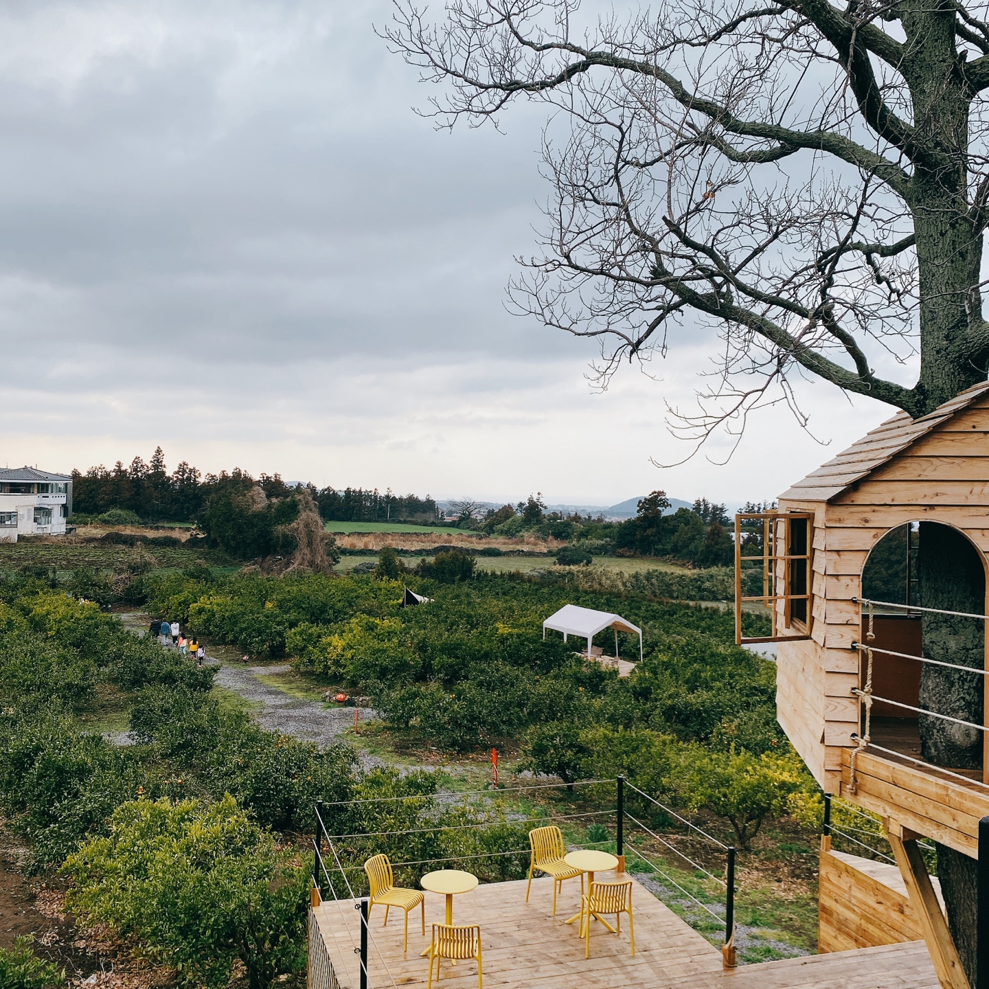 제주 애월 환혼 무수천계곡 트리하우스 웃뜨리 카페