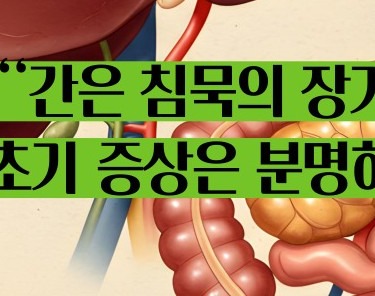 간경화 초기증상