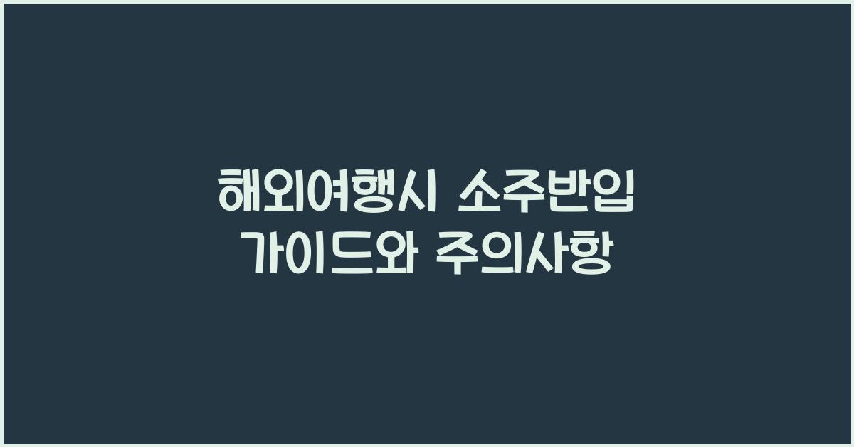 해외여행시 소주반입