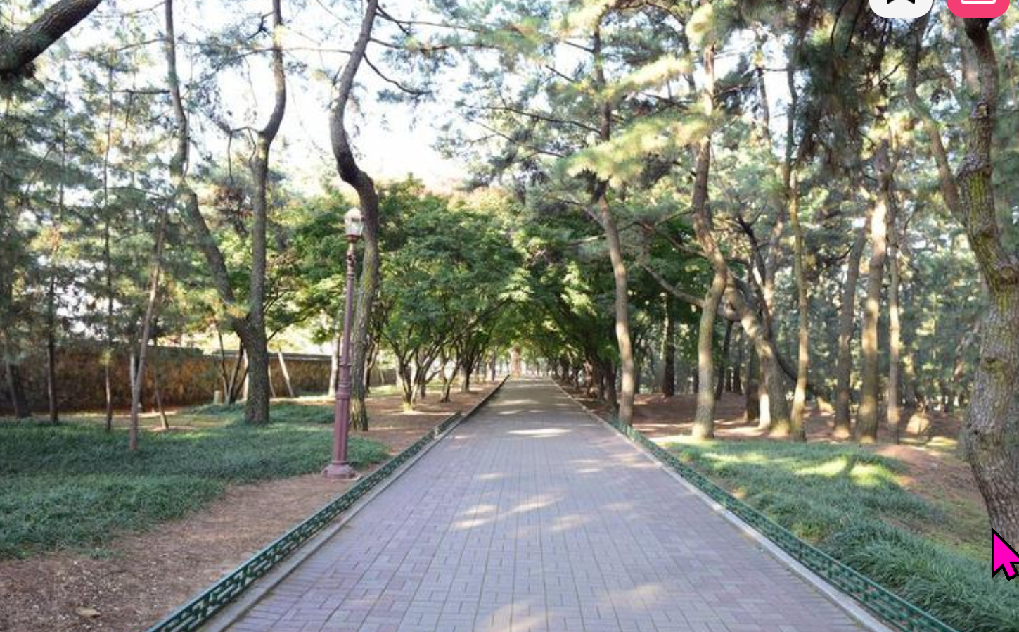 대릉원 산책길