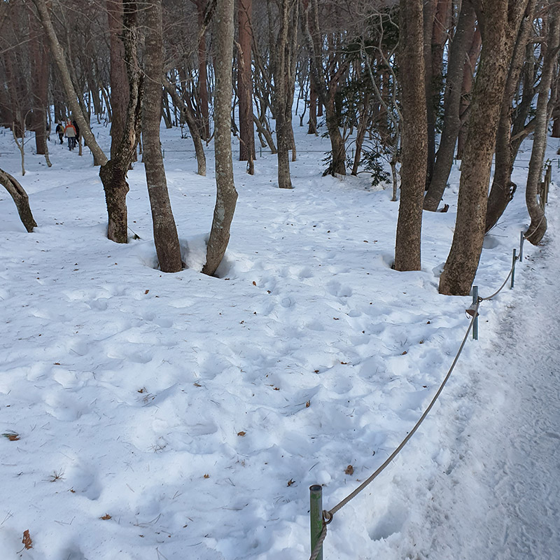 제주도-여행-일정