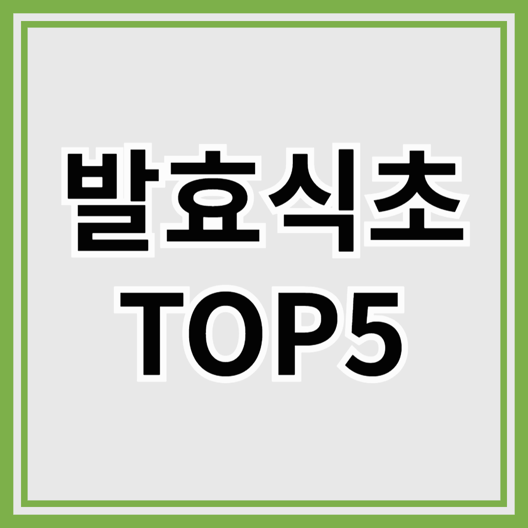 천연발효식초 TOP 5!