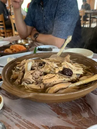 옻닭 효능 먹으면 안되는 사람 닭백숙_12