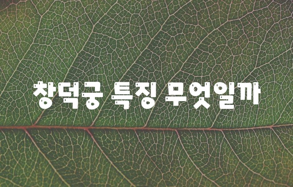 샘플 (43)