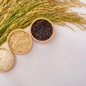 양곡관리법 개정안