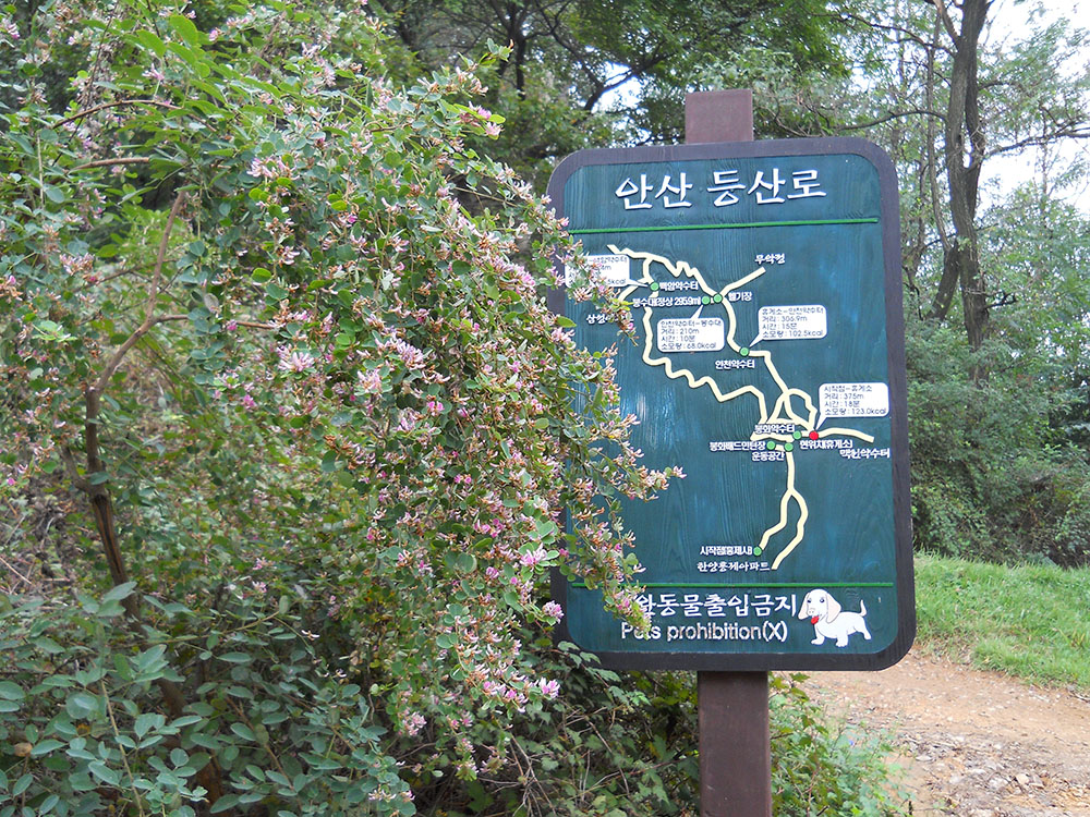 보슬비 맞으며 걷던 서대문구 안산자락길 