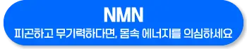 NMN 효능 복용법