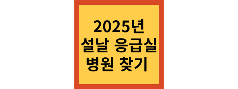 2025년 설날 응급실 병원찾기