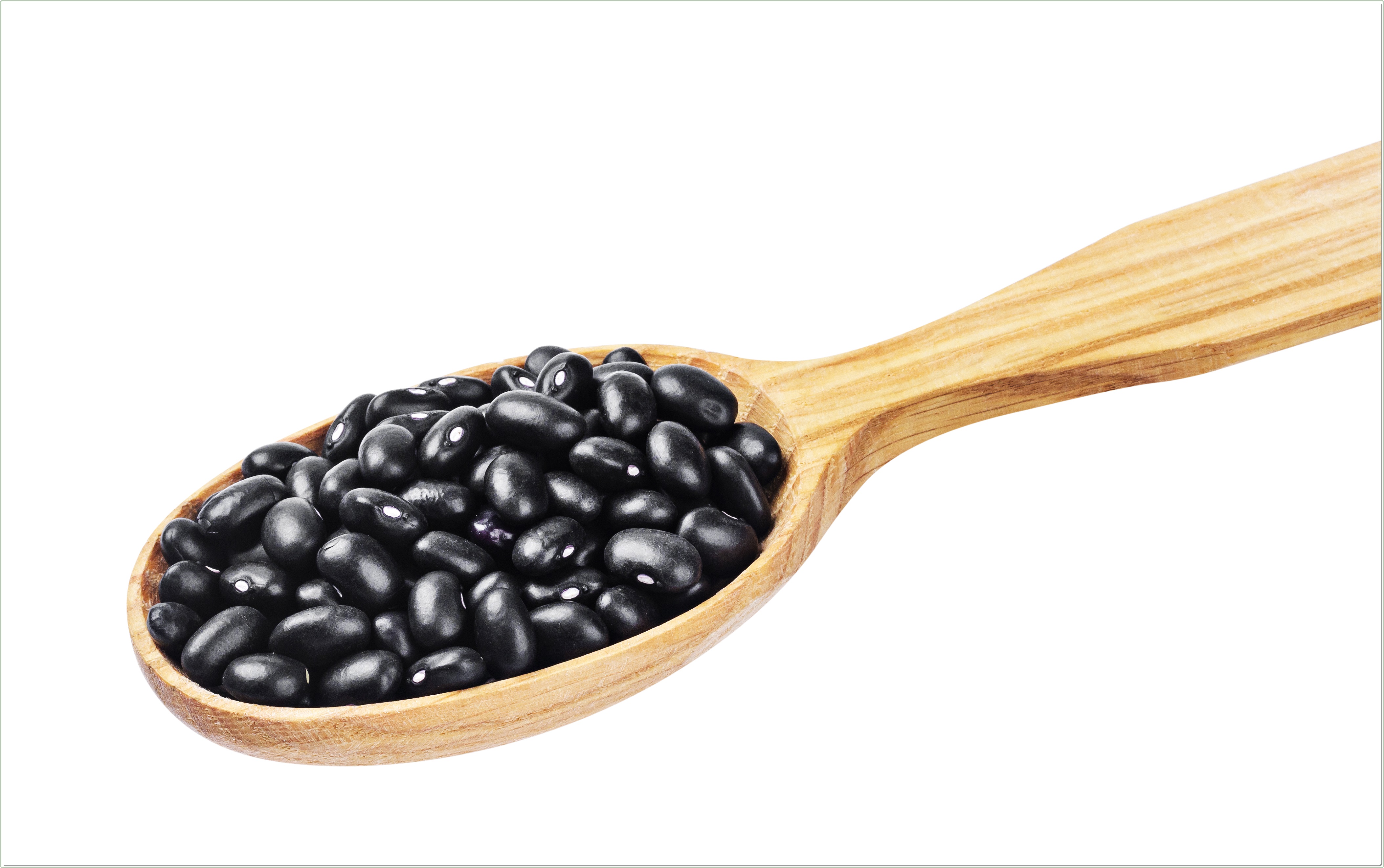 검은콩 효능