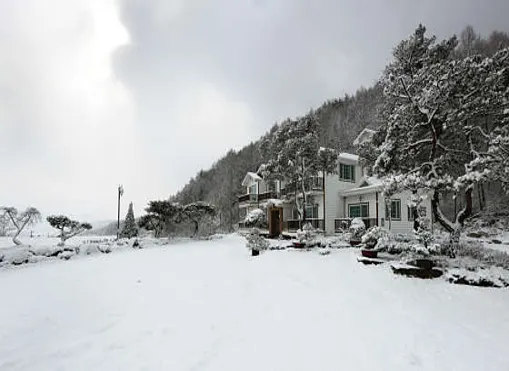 플로리아벨리펜션