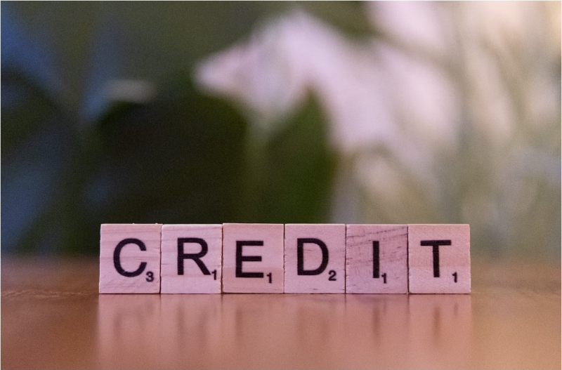 신용 등급 확인 방법 및 등급 올리는 방법