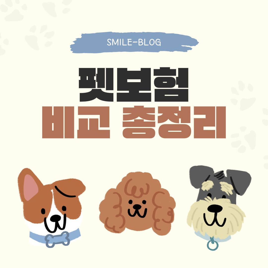 펫보험 비교 총정리! 반려동물에게 딱 맞는 보험 추천
