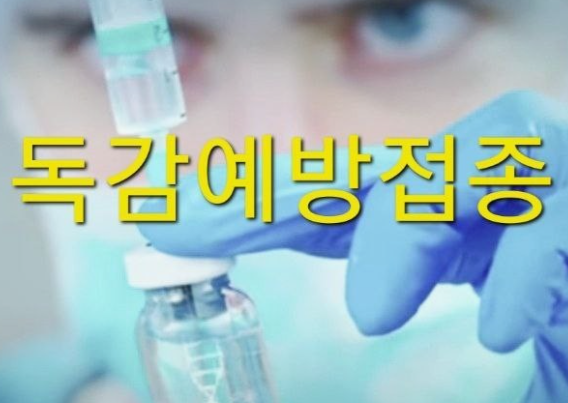 독감보험-진단비