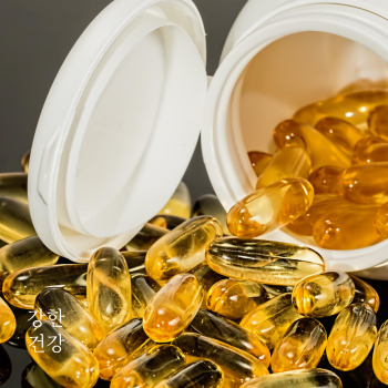 파비플로라 복용법