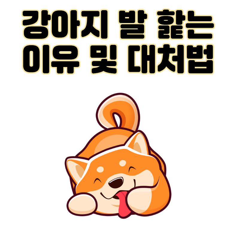 강아지 발 핥는 이유 스트레스 대처법