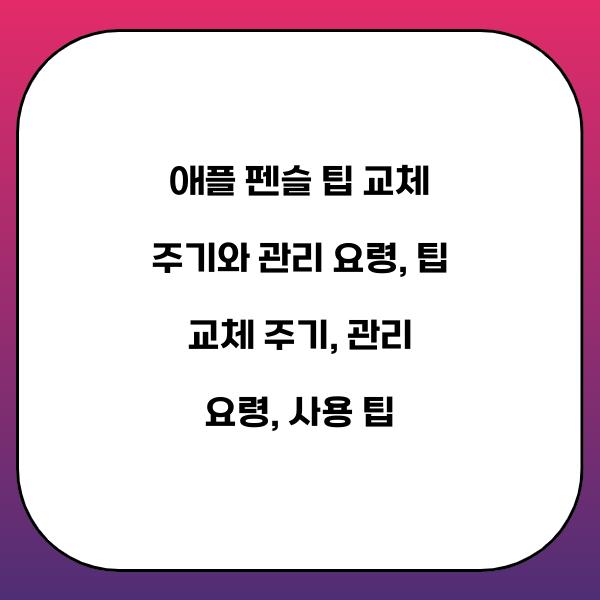 애플 펜슬 팁 교체 주기와 관리 요령