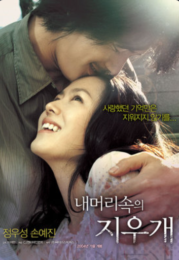 영화 내 머리속의 지우개 포스터