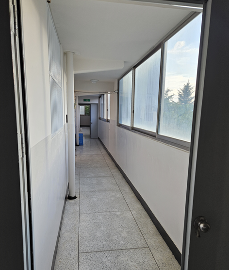 일산 호수마을 5단지 청구 아파트 실거주 후기, 가장 좋은 평수와 재건축 가능성은?