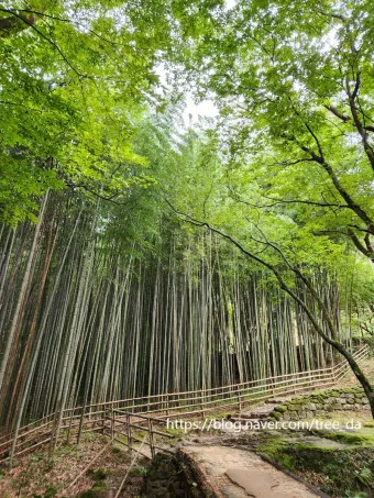 담양 맛집 베스트10 진짜 현지인만 아는곳_11