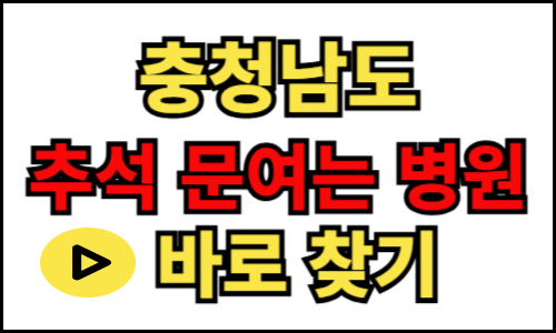 충청남도 문 여는 병원 약국, 추석 설날 24시간 응급실, 명절 연휴병원