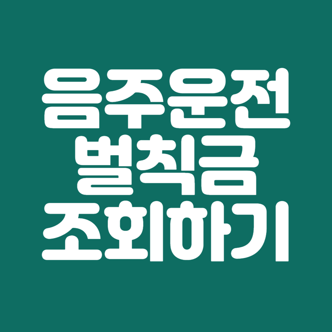 음주운전벌칙금조회하기