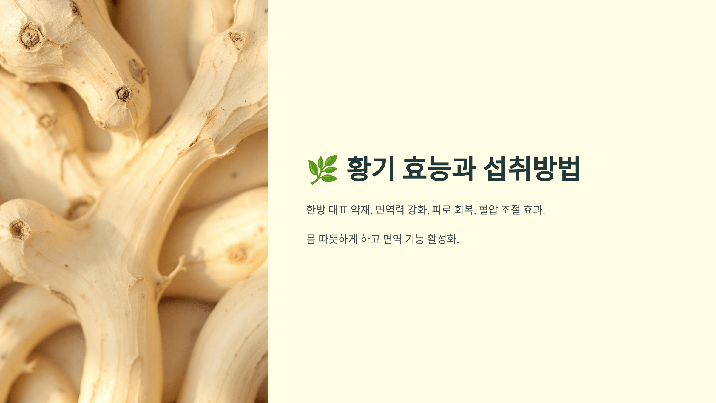 황기 사진입니다.