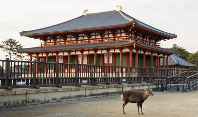 후쿠오카 8월 날씨와 옷차림, 축제정보