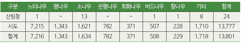 과천 보호수, 회화나무 탐방, 과천 중앙동, 560년 회화나무, 경기 과천 여행