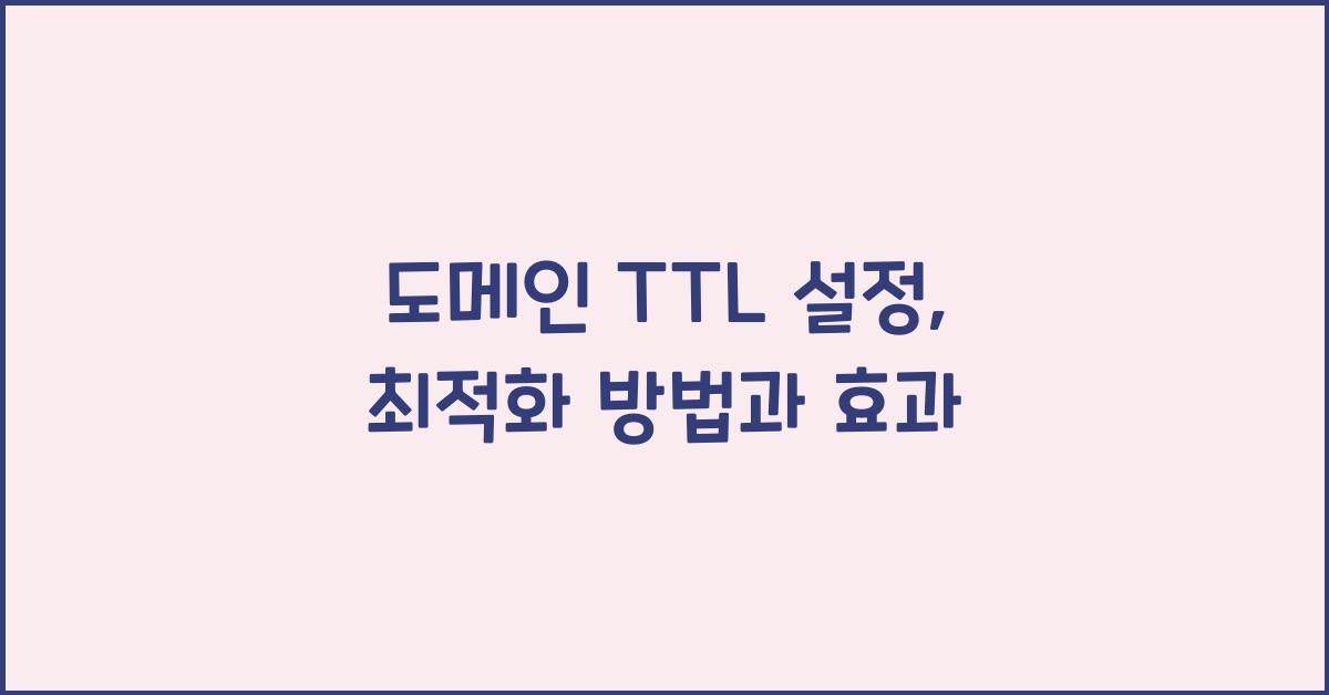 도메인 TTL 설정