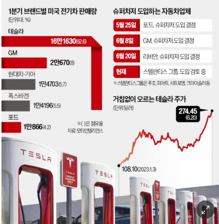 그림-거침없이 오르는 테슬라 주가