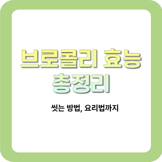 브로콜리-효능-총정리