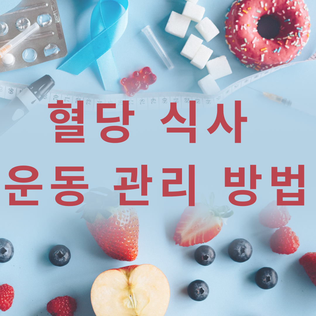 혈당 식사 운동 관리 방법