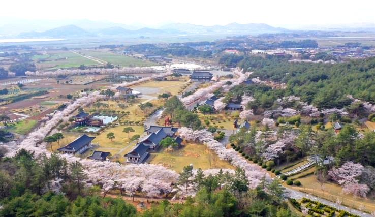 영암 왕인문화축제