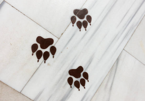 염색약－지우는법