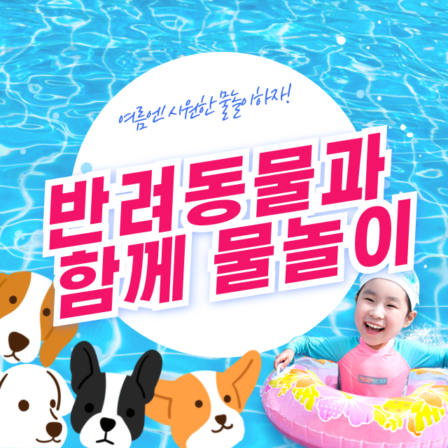 반려동물과물놀이썸네일