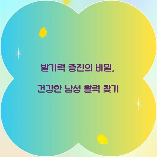 발기력 증진