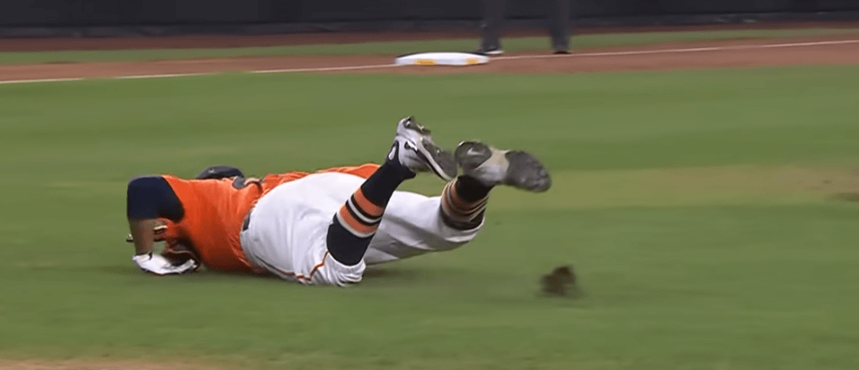 한화 이글스 vs SSG랜더스