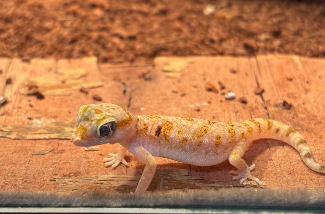 파주 가볼만한곳 베스트10