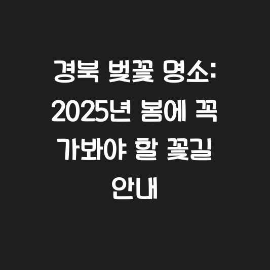 경북 벚꽃 명소: 2025년 봄에 꼭 가봐야 할 꽃길 안내 대표 이미지