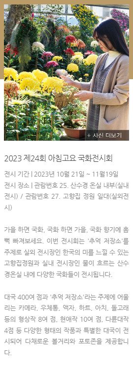 가을국화축제-아침고요수목원-피나클랜드