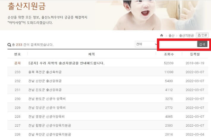 출산지원금_검색